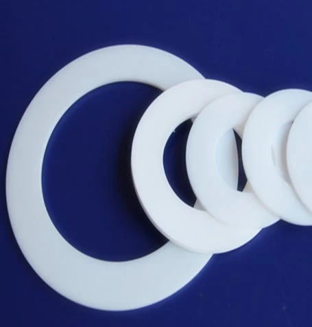 PTFE Gaskets